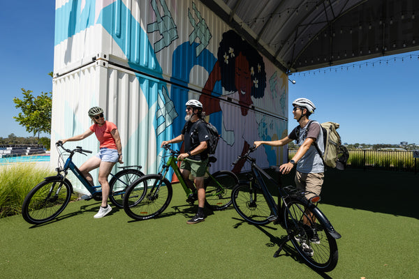 Go Green, Go Electric: Introducing Velectrix Electric Bikes