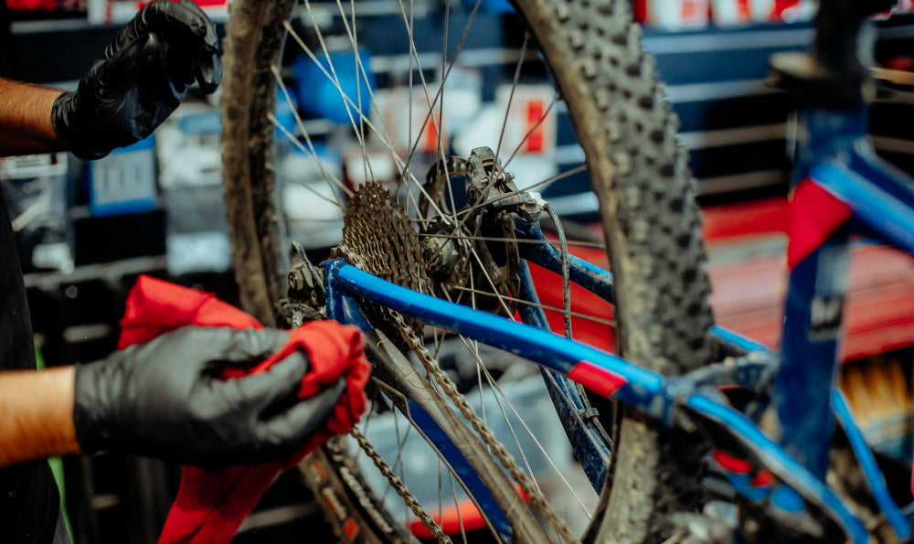 Expert Advice: How to take care of your bike 🚲