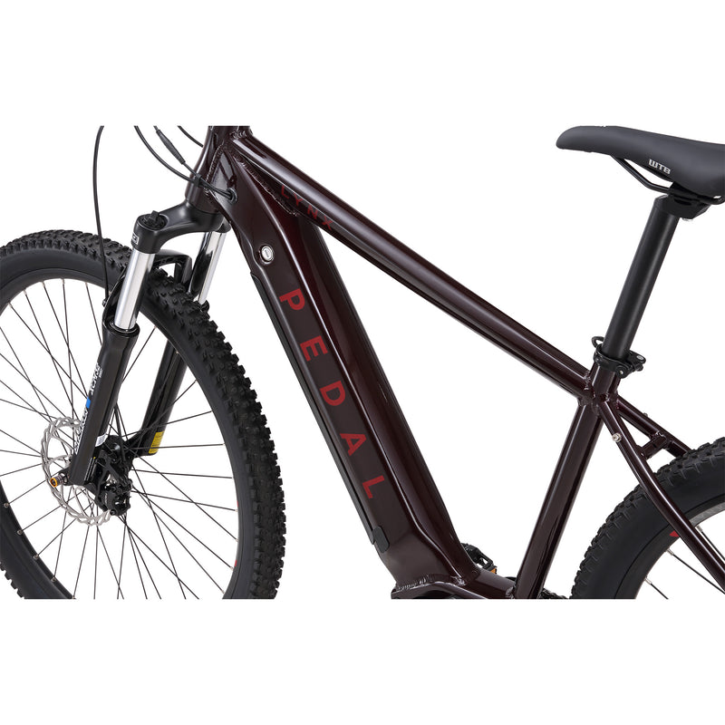 Pedal Lynx Electric Hardtail MTB 468Wh Battery Black