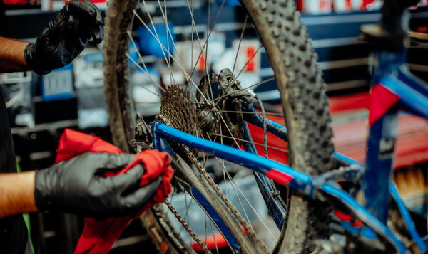 Expert Advice: How to take care of your bike ‍🚲