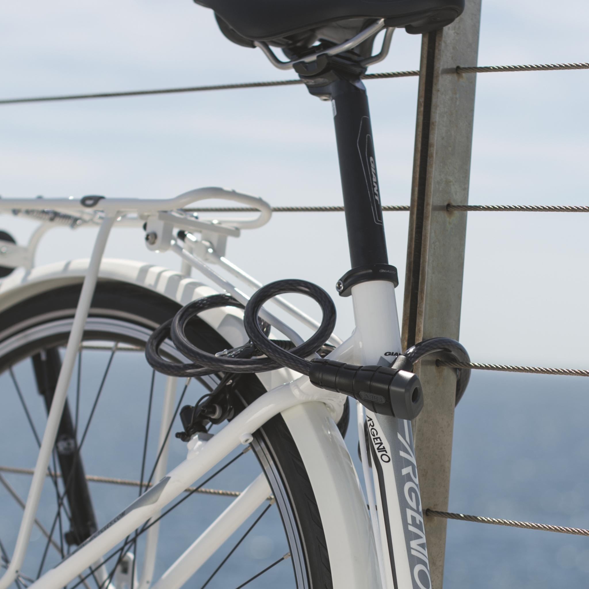 Cable Locks