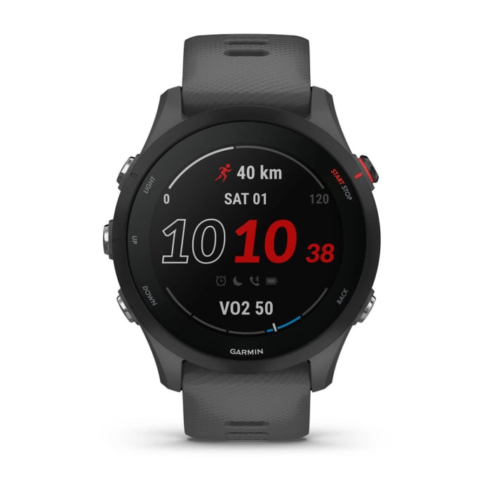 Garmin Forerunner® 255 Smartwatch Slate Grey 46mm