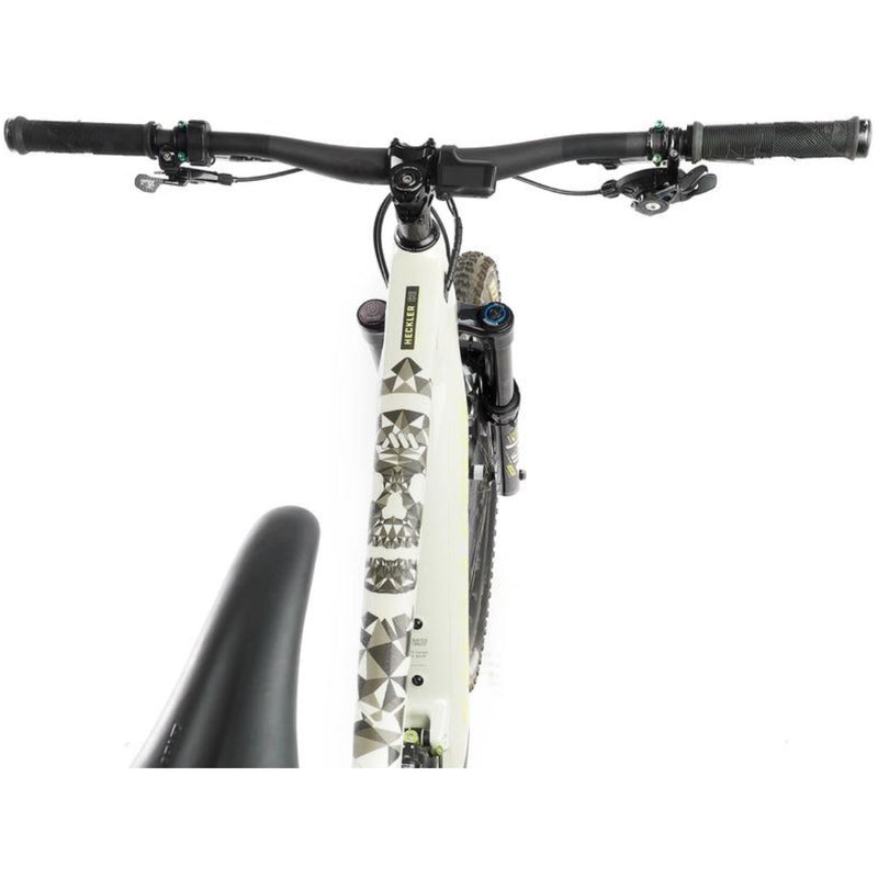 Ams Frame Guard Extra Fractal Skull
