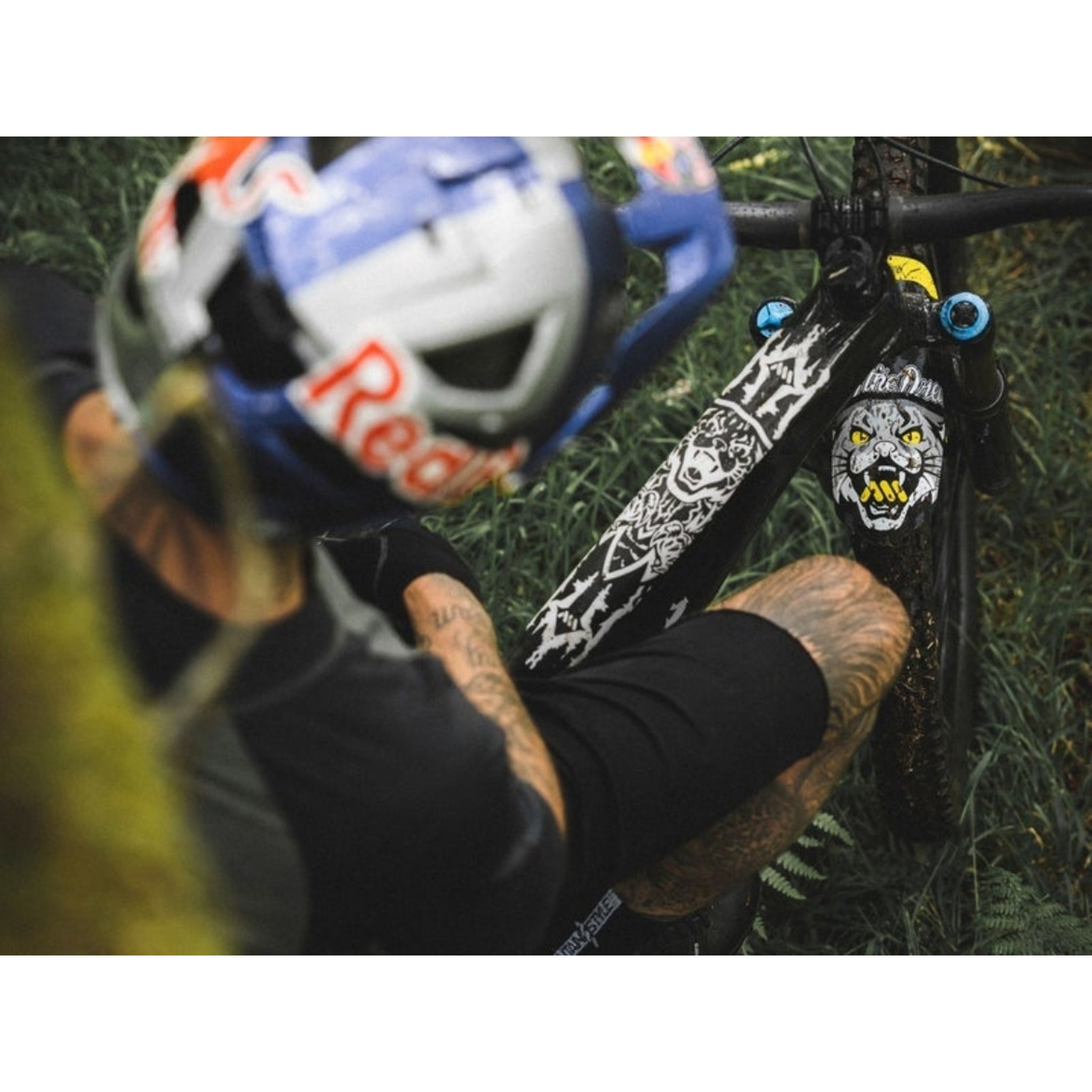 Ams Frame Guard Extra Kriss Kyle Black