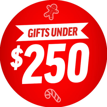 Gifts Under $250