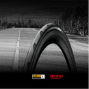 Continental Tyre GP5000 Clincher Road 700 x 25 Black/Translucent