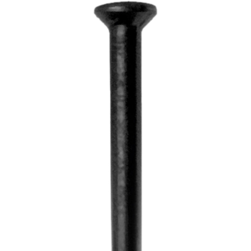 DT Swiss Champion Straight Pull Spoke 296mm 2.0mm Black