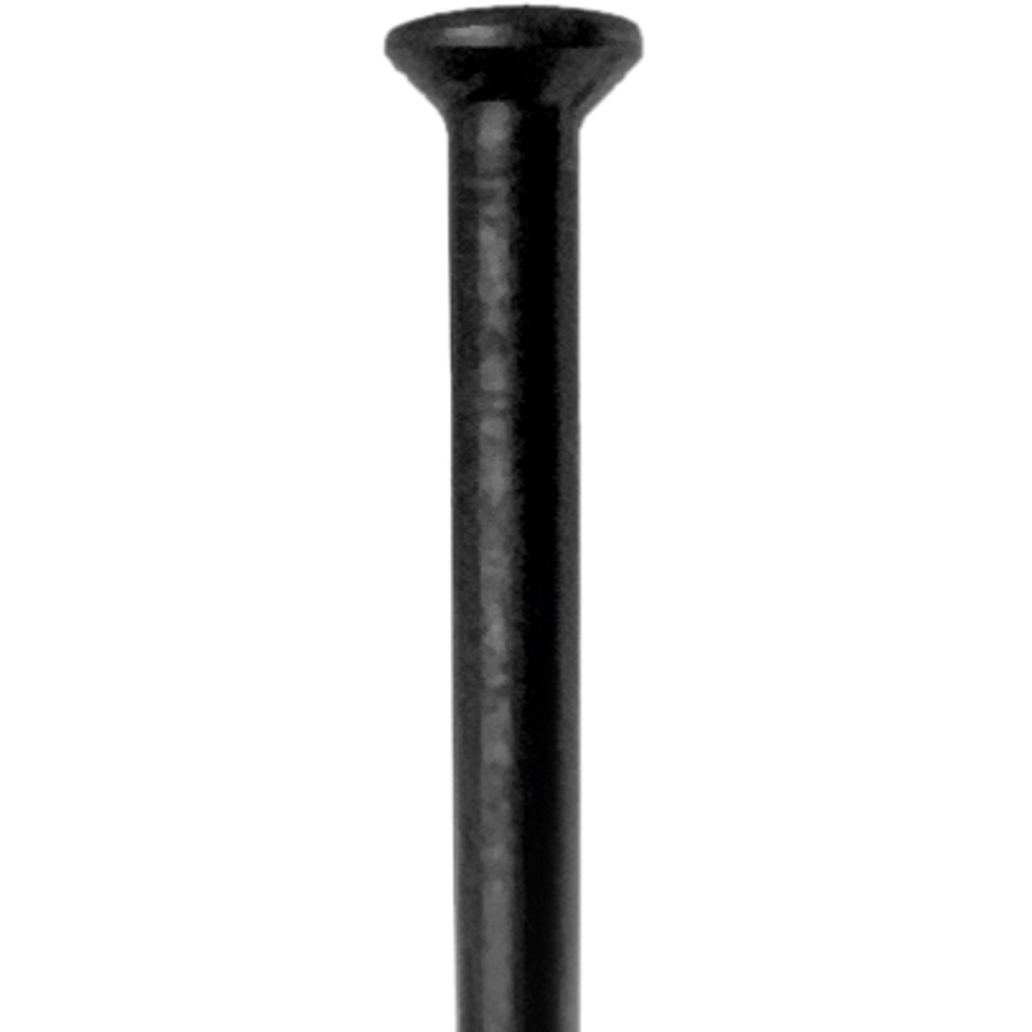 DT Swiss Champion Straight Pull Spoke 2.0 x 284mm Black 1pc