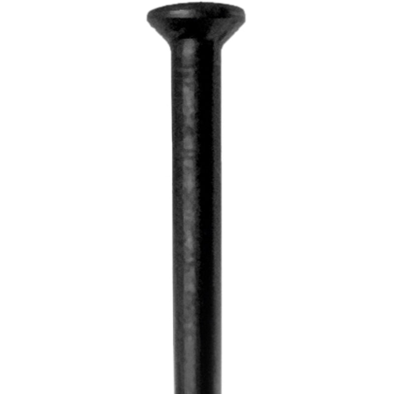 DT Swiss Champion Straight Pull Spoke 2.0 x 284mm Black 1pc