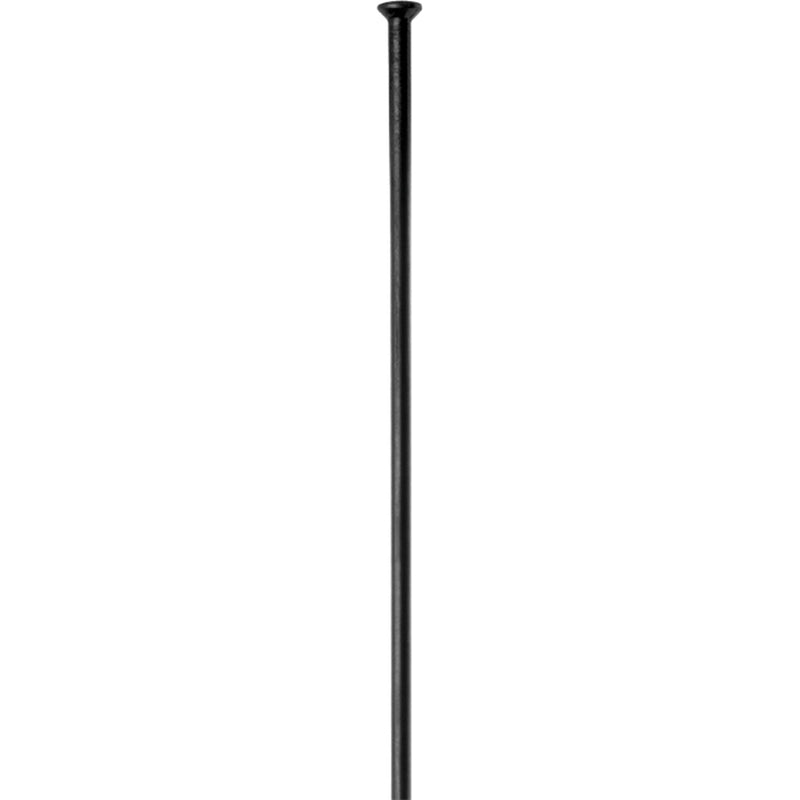 DT Swiss Champion Straight Pull Spoke 2.0 x 284mm Black 1pc