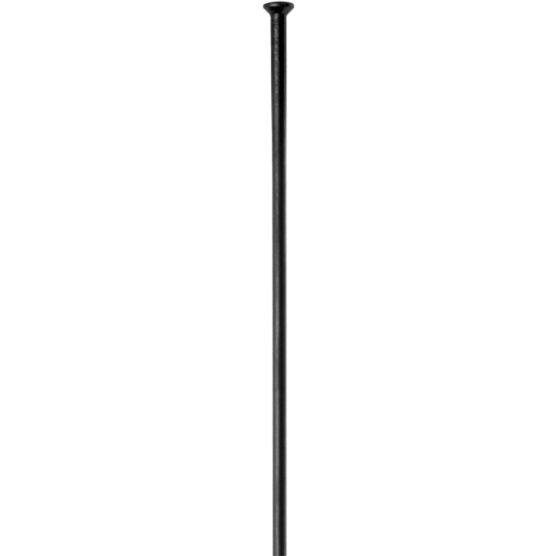 DT Swiss Champion Straight Pull Spoke 296mm 2.0mm Black
