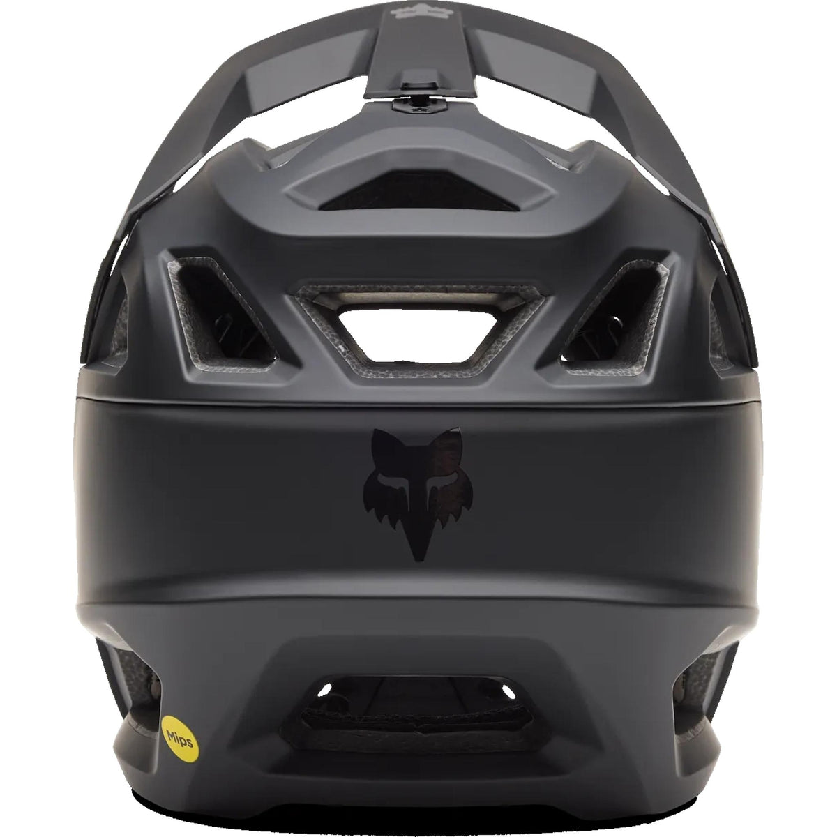 Fox Proframe Youth Full Face MIPS MTB Helmet Ice Black