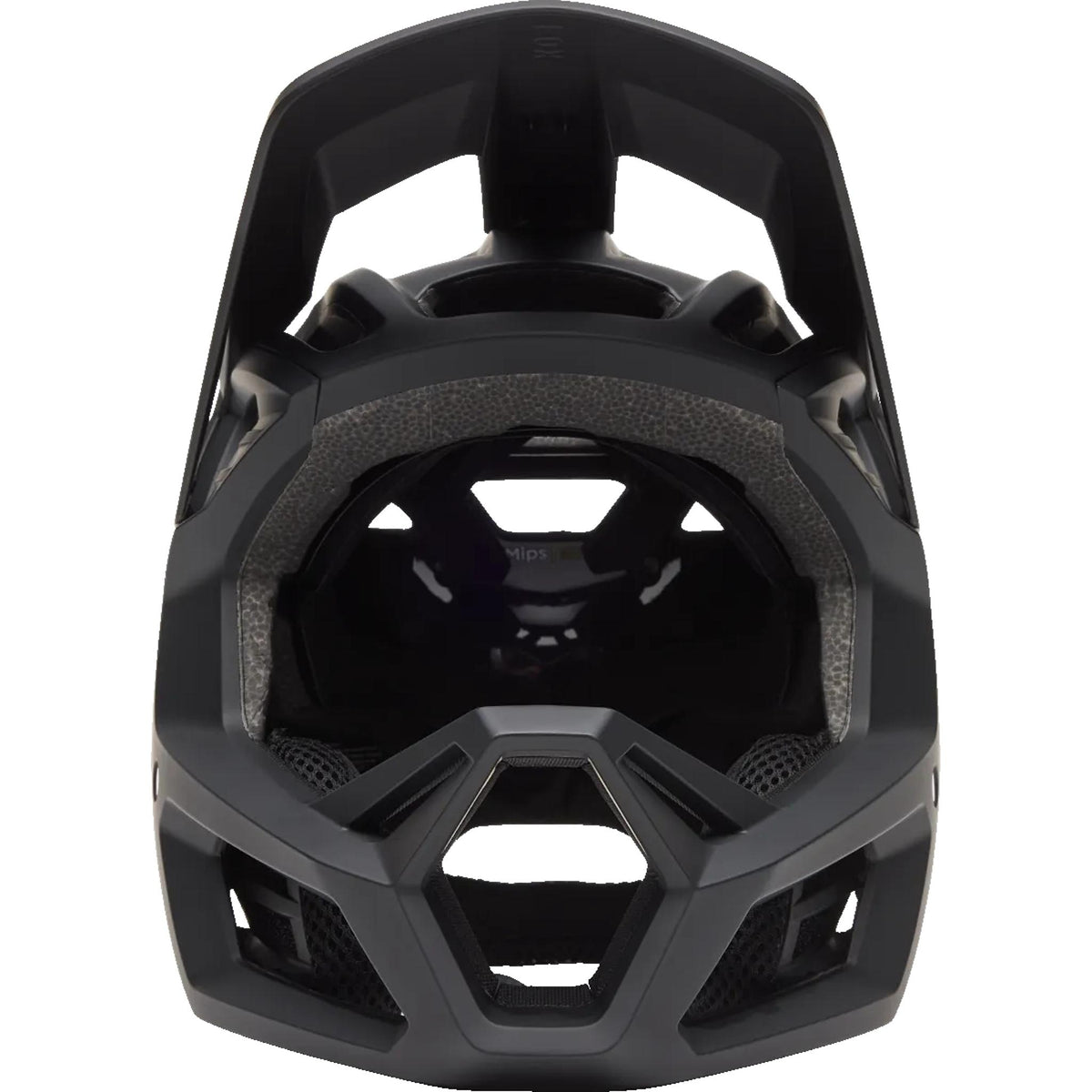 Fox Proframe Youth Full Face MIPS MTB Helmet Ice Black