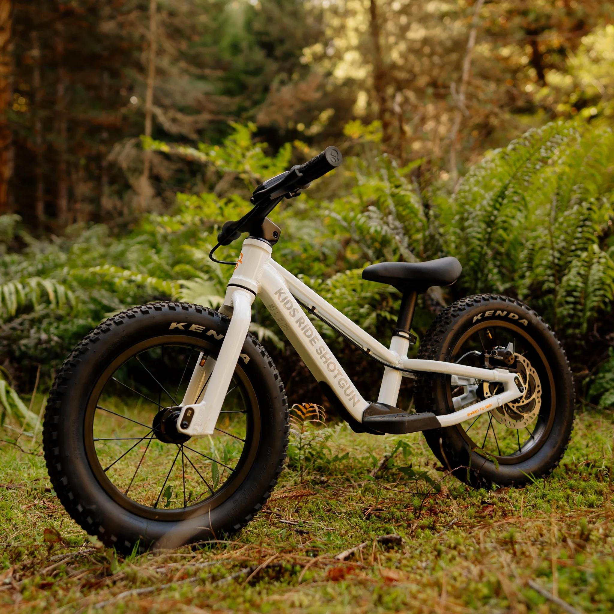 Kids Ride Shotgun Dirt Hero Off-Road Balance Bike 12" Arctic Storm White