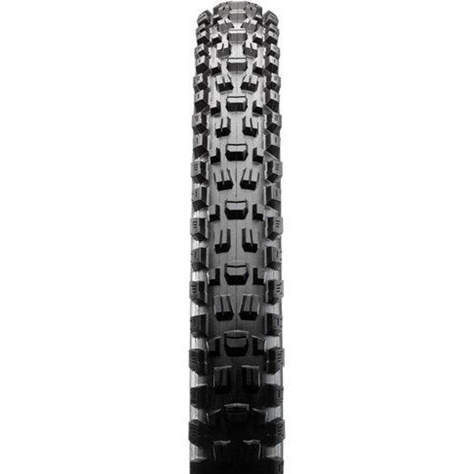 Maxxis Assegai Folding Tyre EXO TR 29 x 2.50