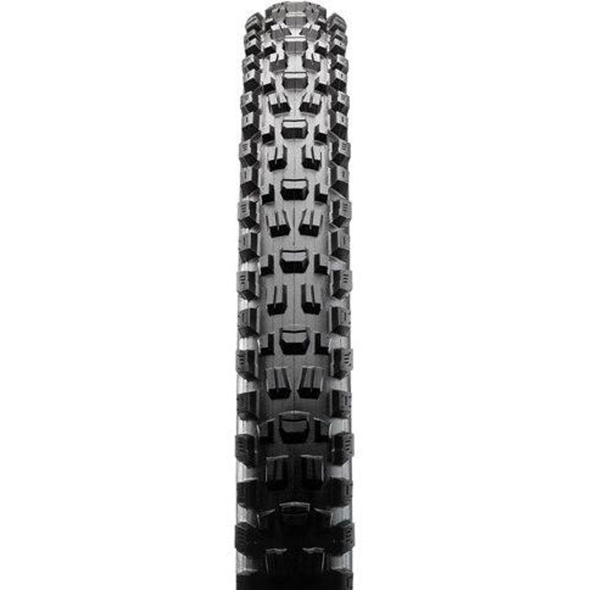 Maxxis Assegai Folding Tyre EXO TR 29 x 2.50