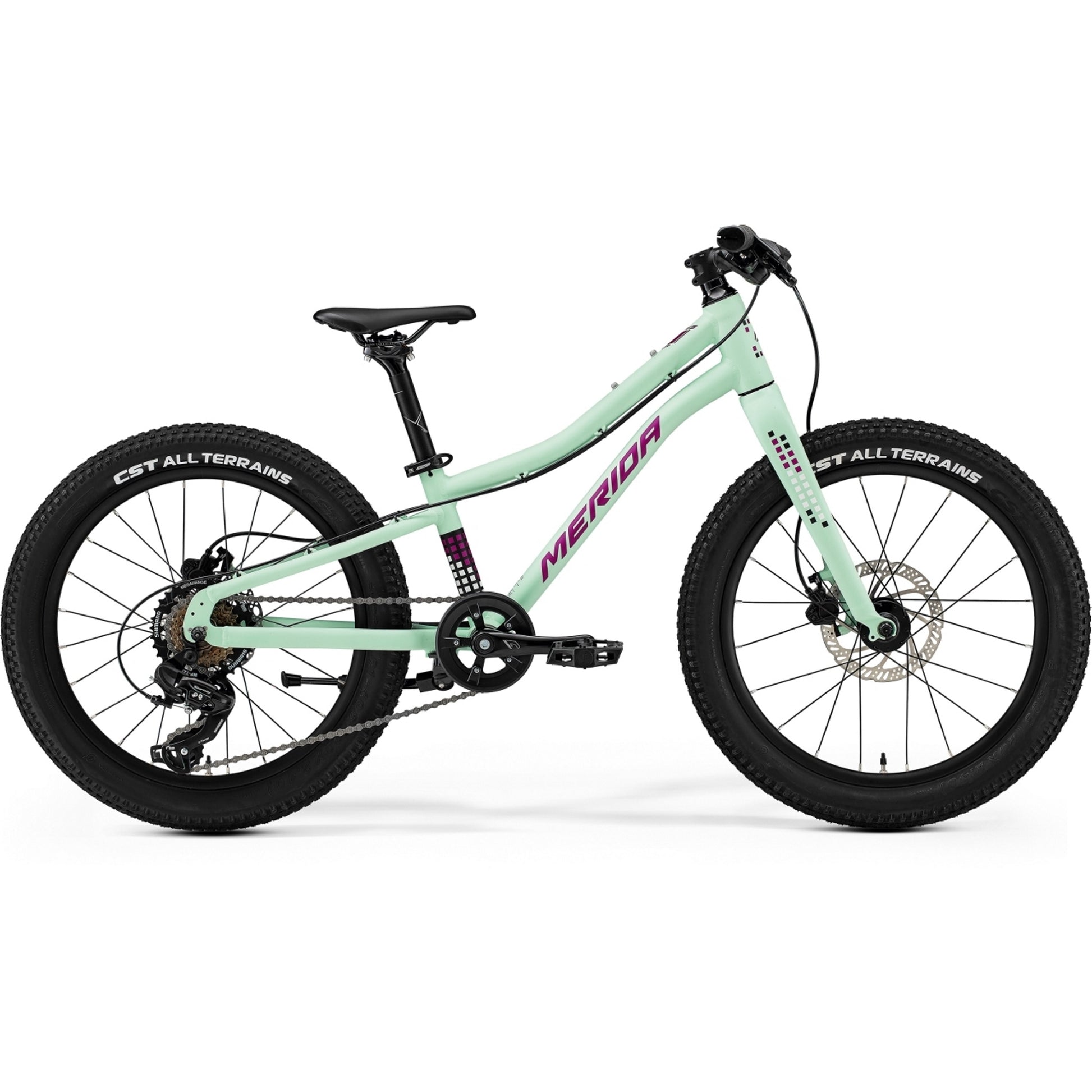 Merida Matts J20+ 20" Kids Bike Matte Mint/Purple