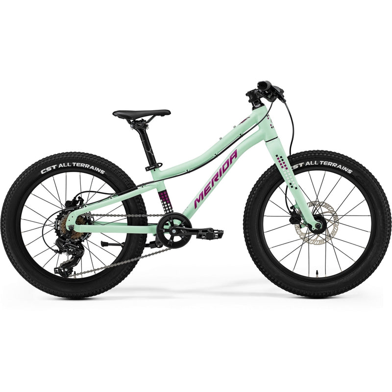 Merida Matts J20+ 20" Kids Bike Matte Mint/Purple