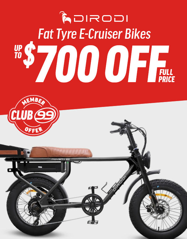 ElectricBike_Fat Tyre E-Crusiers