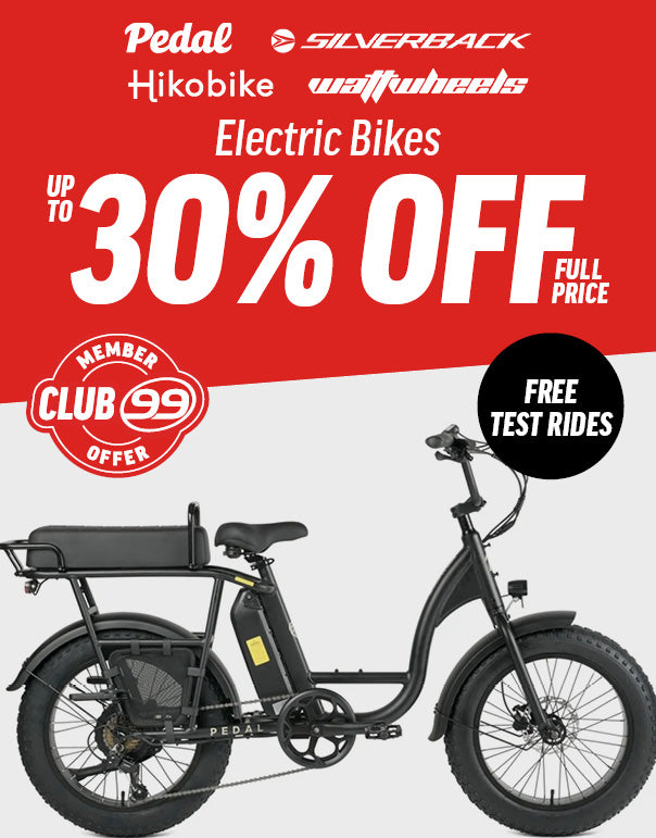 ElectricBike_Electric Bikes