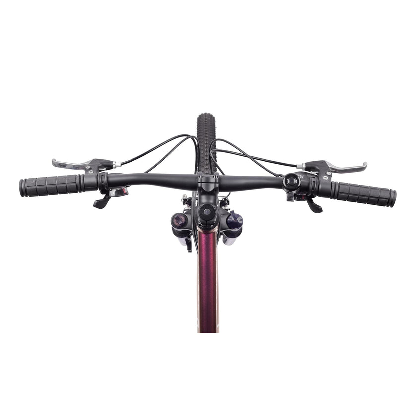 Pedal Ranger 4 Trapeze Mountain Bike Gloss Chilli