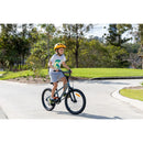 Pedal Strike 20" Kids Bike Steel Silver/Green