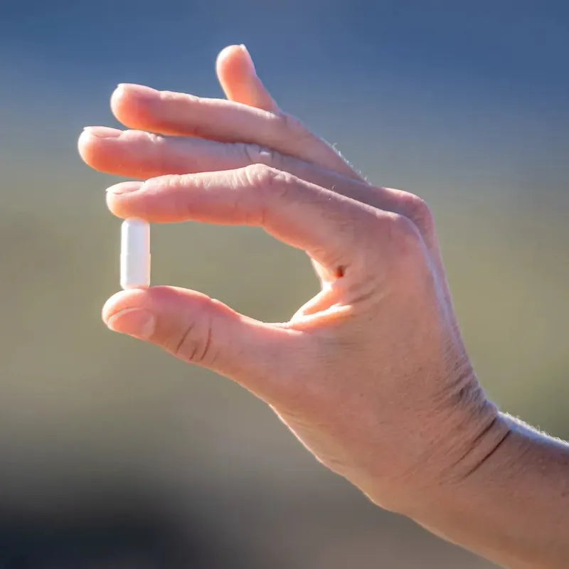 Saltstick Caps Bottle of 100 Capsules