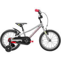 Silverback Skid 16