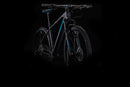Cube Reaction C:62 29 Cross Country MTB Carbon'n'Black MD/17” (2020)