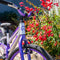Apollo Neo 20" Kids Bike Brushed Alloy/Lavender/Purple