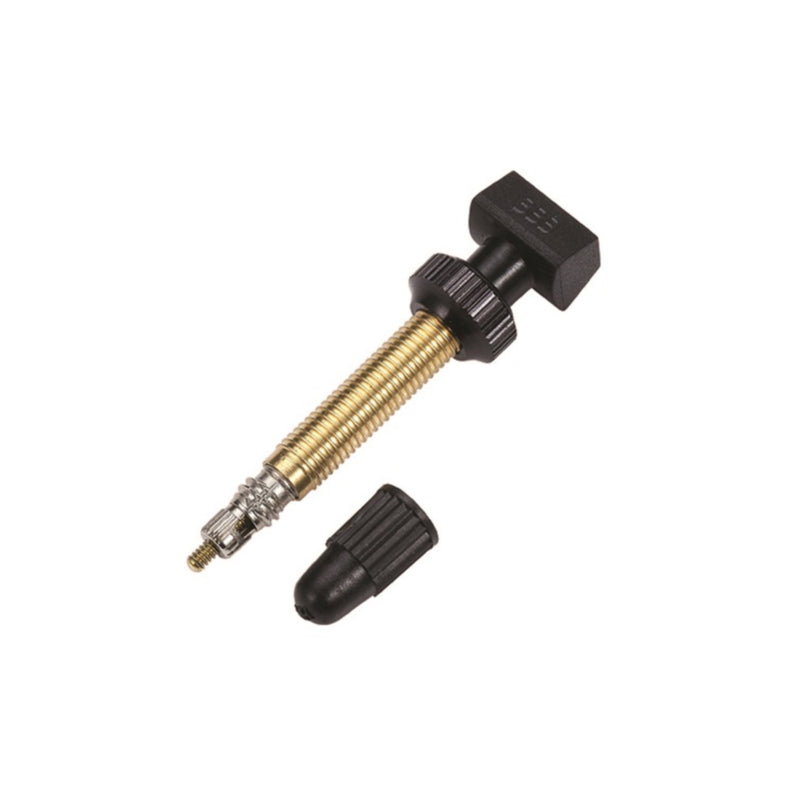 BBB Tubeless Valves 48mm Removable Core 2pc