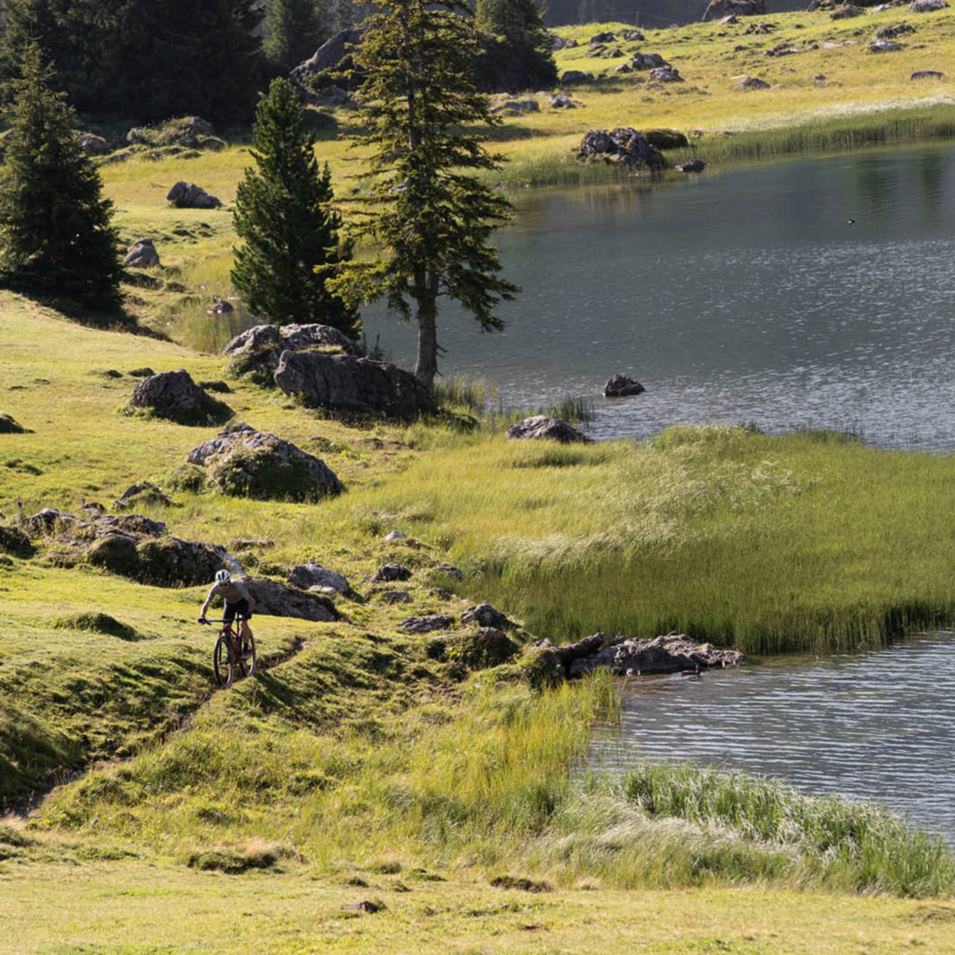 BMC Two Stroke AL Four Cross-Country Mountain Bike Red/Grey