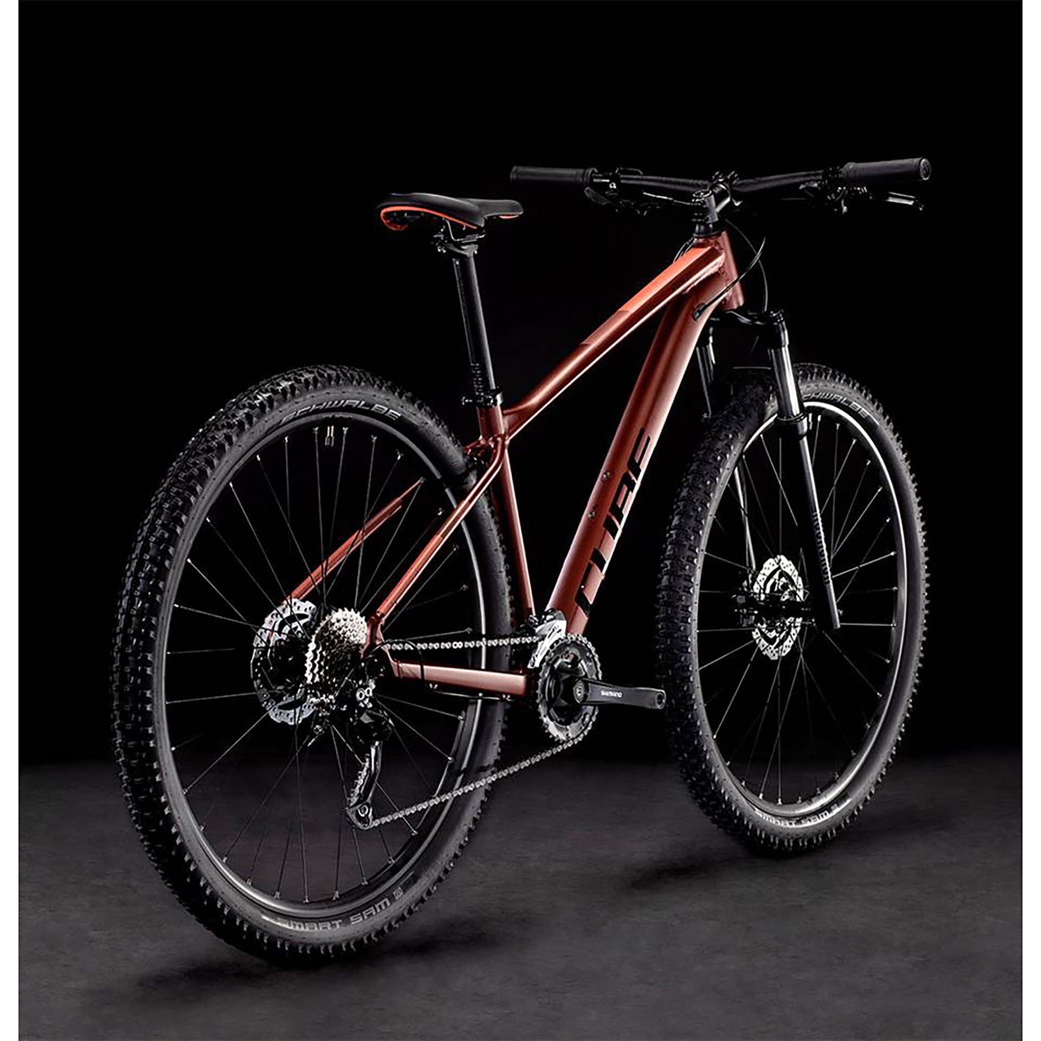 Access shop mountain bike