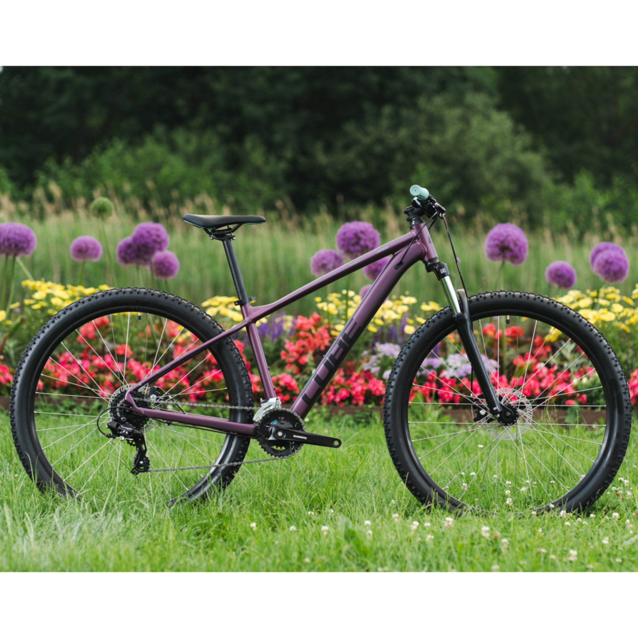 Access top mountain bike