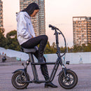 Fiido Q1S Cargo Seated Electric Scooter