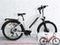 Hiko Speedster 17.4AH Battery Electric Hybrid Bike Red (2020)