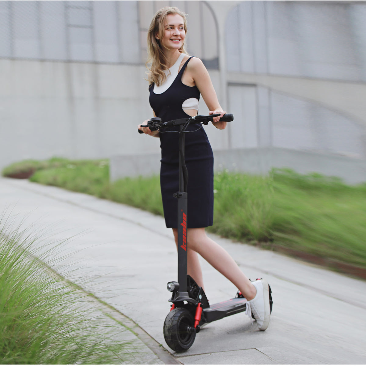 Kaabo Skywalker Electric Scooter Foldable T Bar