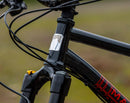 Marin El Roy Hardtail Mountain Bike Gloss Black/Sparklespace
