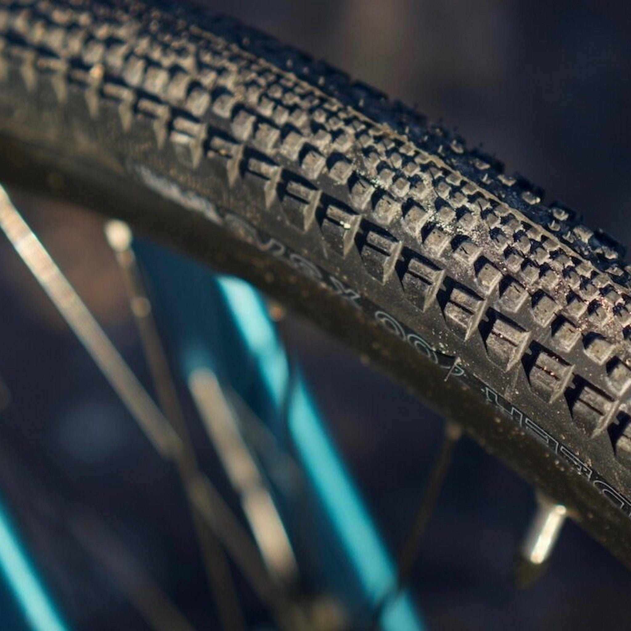 Marin sales nicasio nz