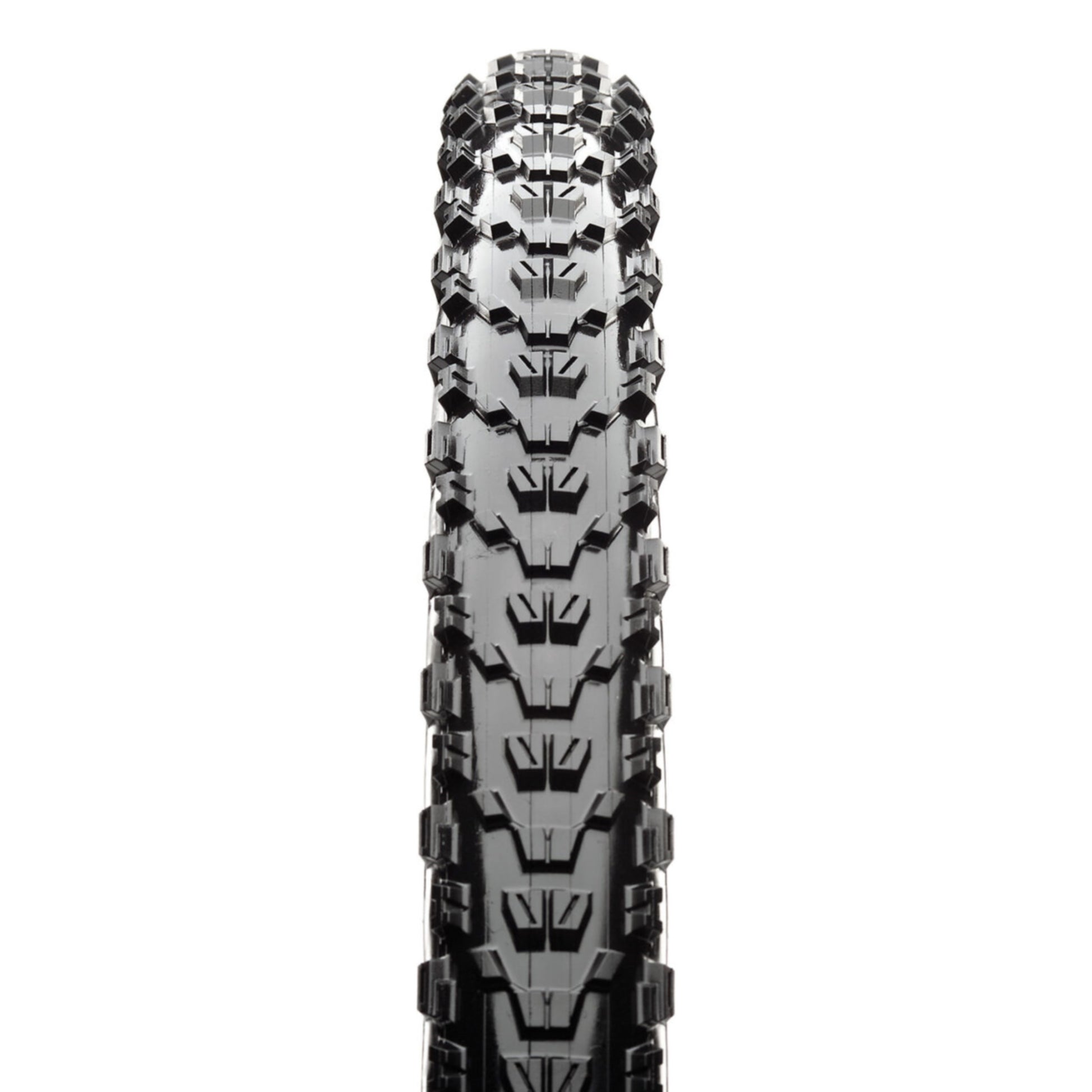Maxxis Tyre 26 x 2.40 Ardent EXO TR Foldable