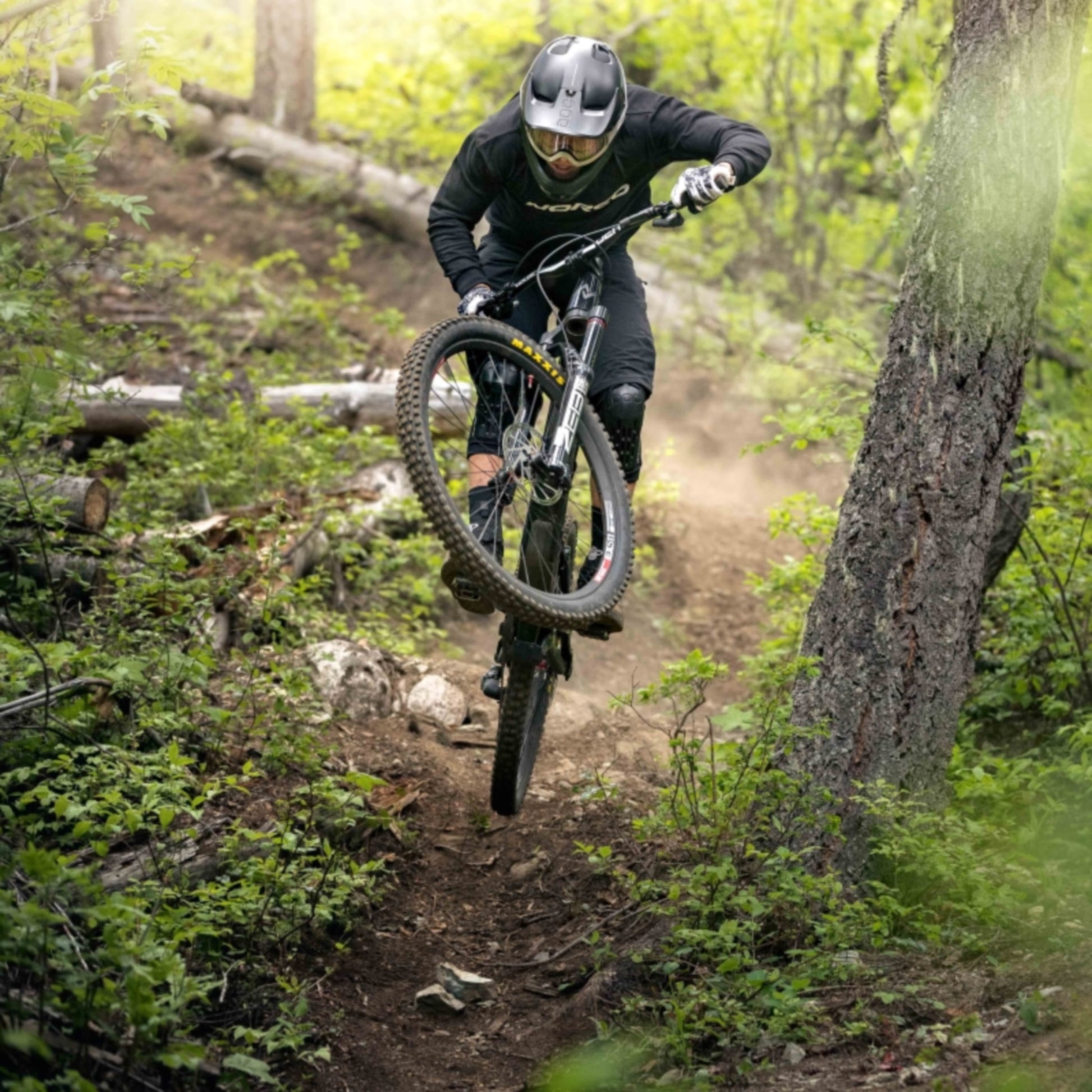 Norco Range C3 Enduro Racing Bike Red/Silver