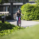 Norco Scene 3 Hybrid Bike Raspberry