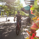 Norco Scene 3 Hybrid Bike Raspberry