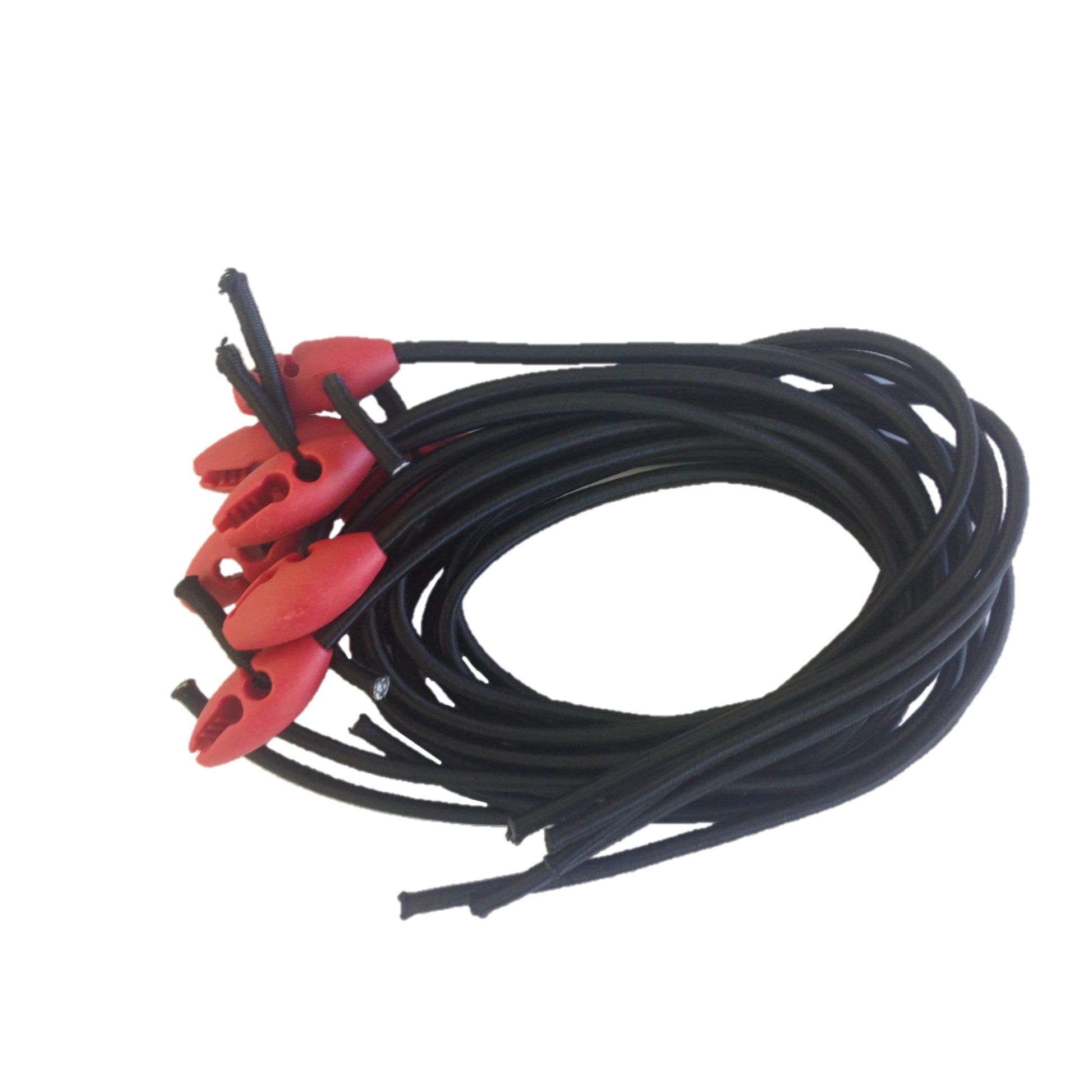 Roam Bungee 10 Pack Black