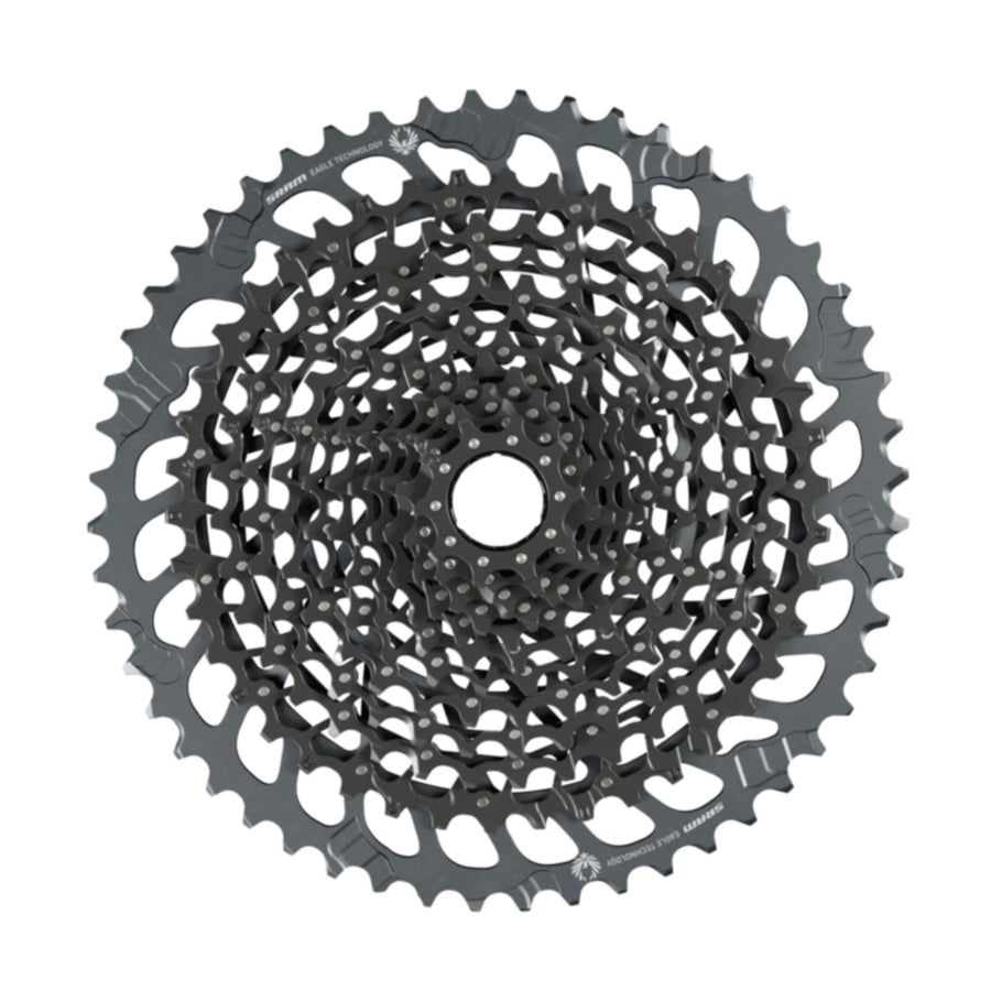 12 Speed Cassettes & Freewheels