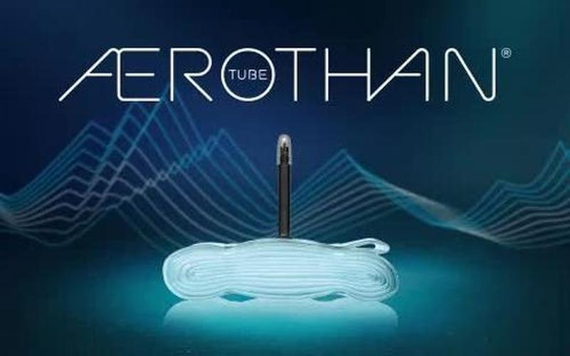Schwalbe Tube SV21E Aerothan MTB+ 29 x 2.4-3.0 Presta 40mm