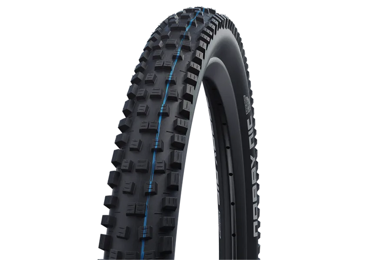 Schwalbe Tyre Nobby Nic 29 x 2.25 Performance Wire Addix E-BikeReady HS463