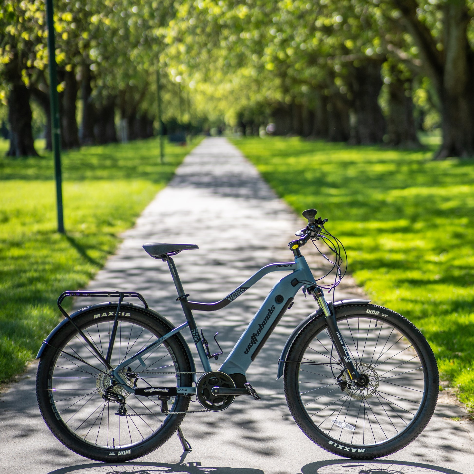 Watt Wheels Bighorn S Electric Bike 672wh Battery Silver/Black