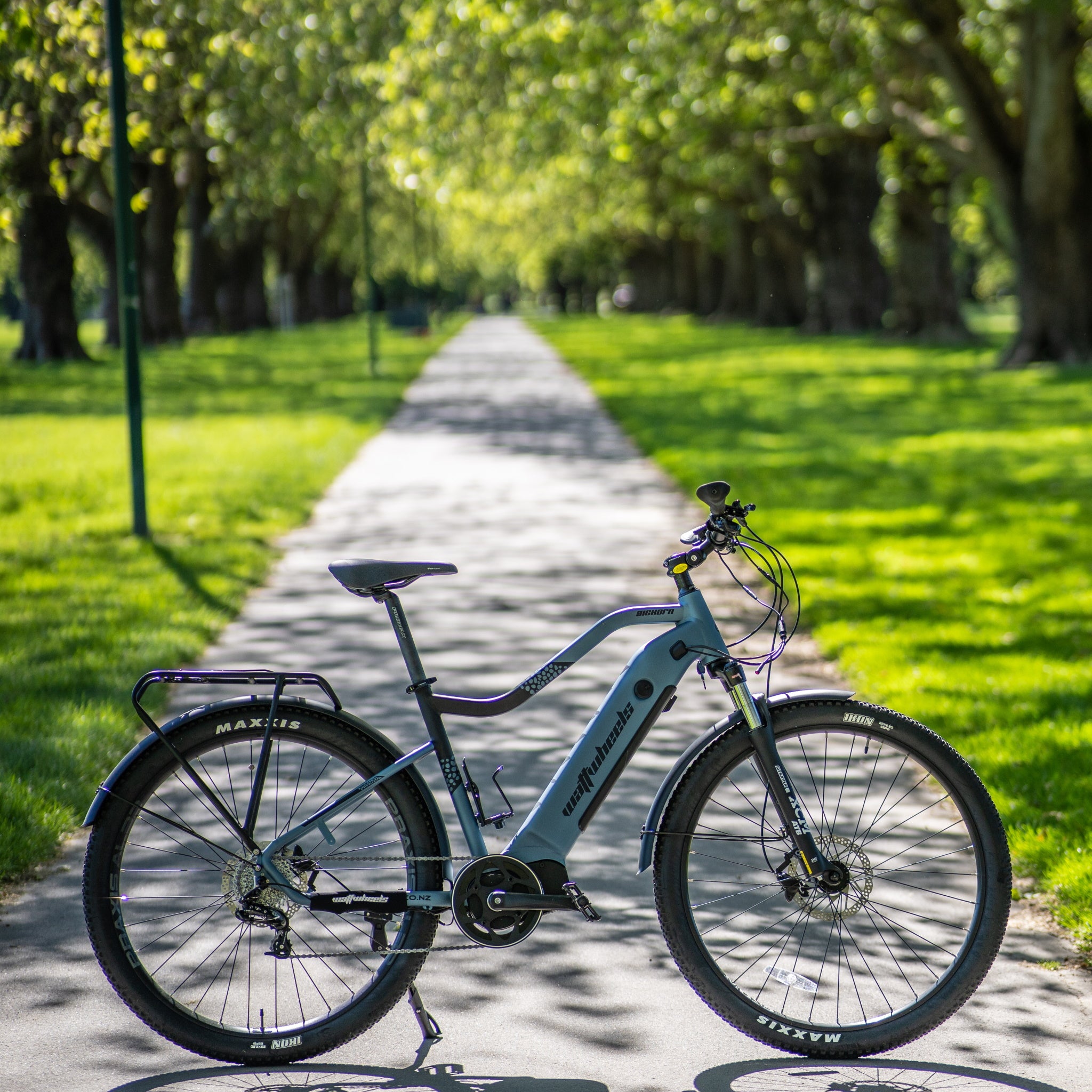 Watt Wheels Bighorn S Electric Bike 672wh Battery Silver/Black