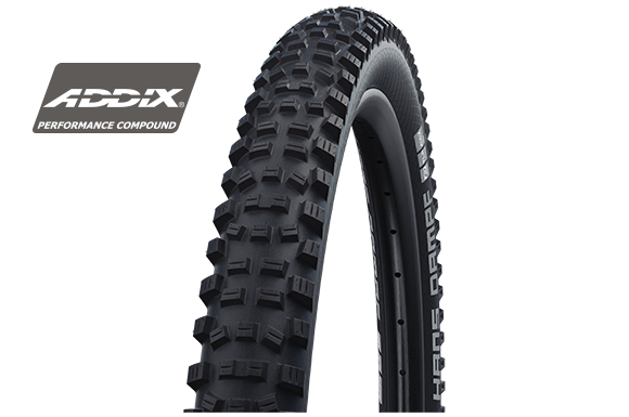 Schwalbe Tyre Hans Dampf 29 x 2.35 Performance Folding Addix TL-Ready HS491